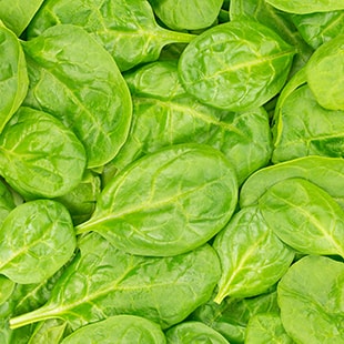 Closeup of Spinach
